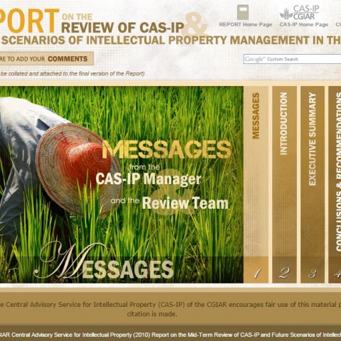 CASIP Report Review